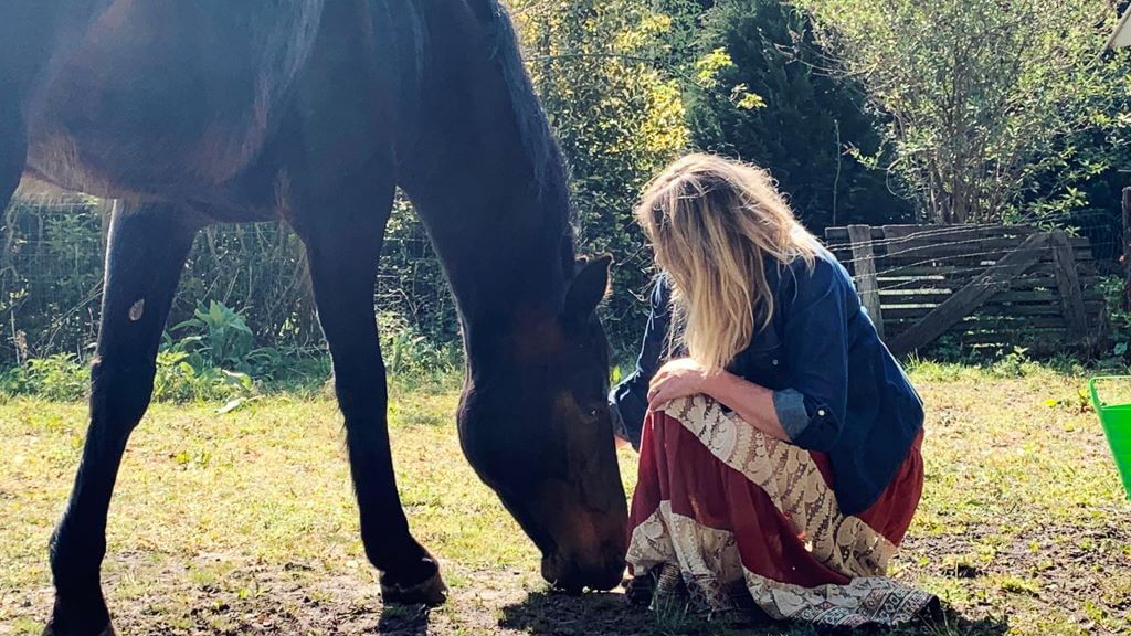 Inzicht door paarden